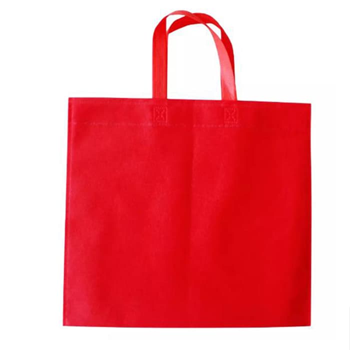 Non-Woven Gift Bag (Ribbon-Tied Handle)