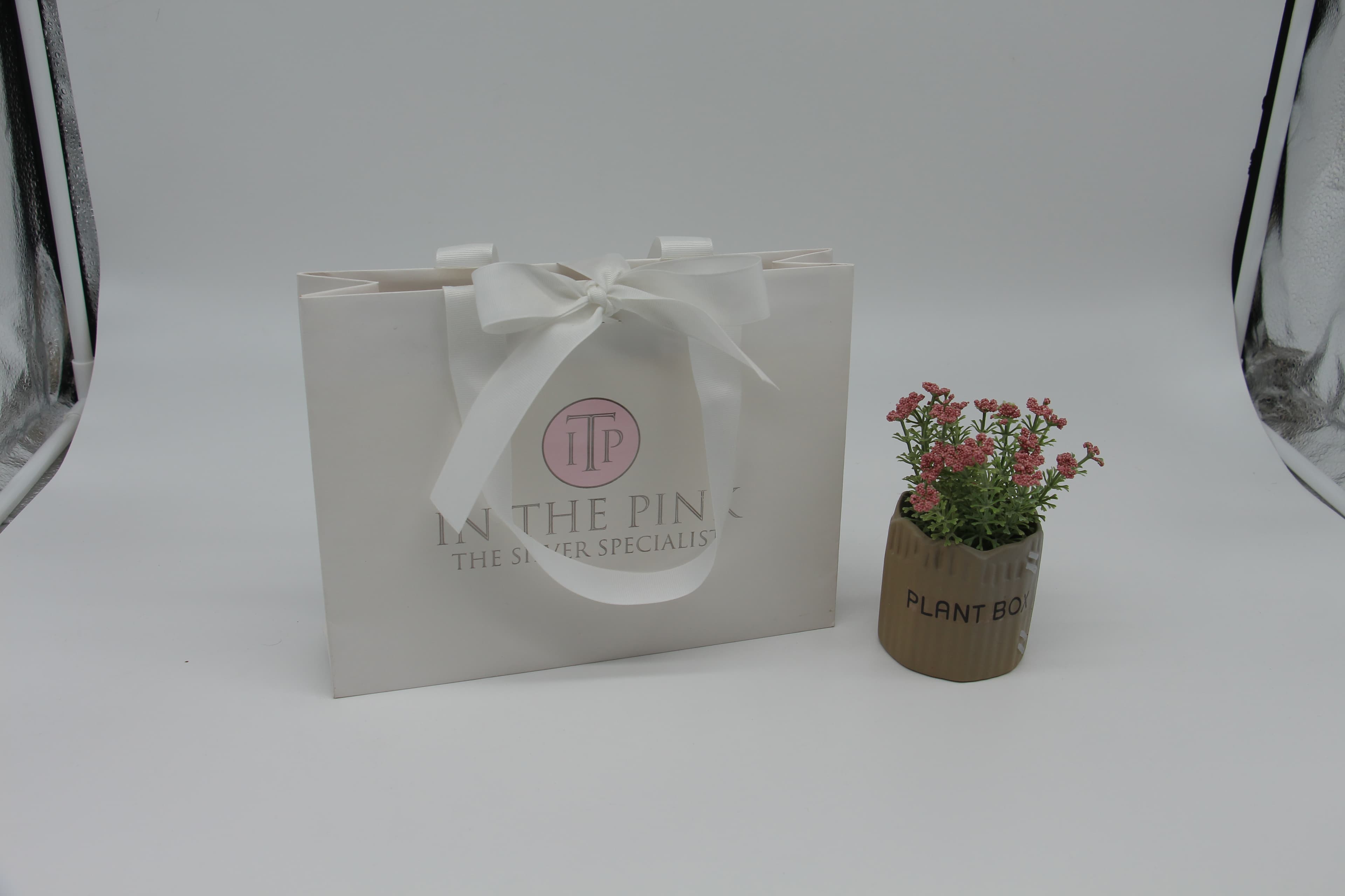 Matte Art Paper Gift Bag with Ribbon Handle