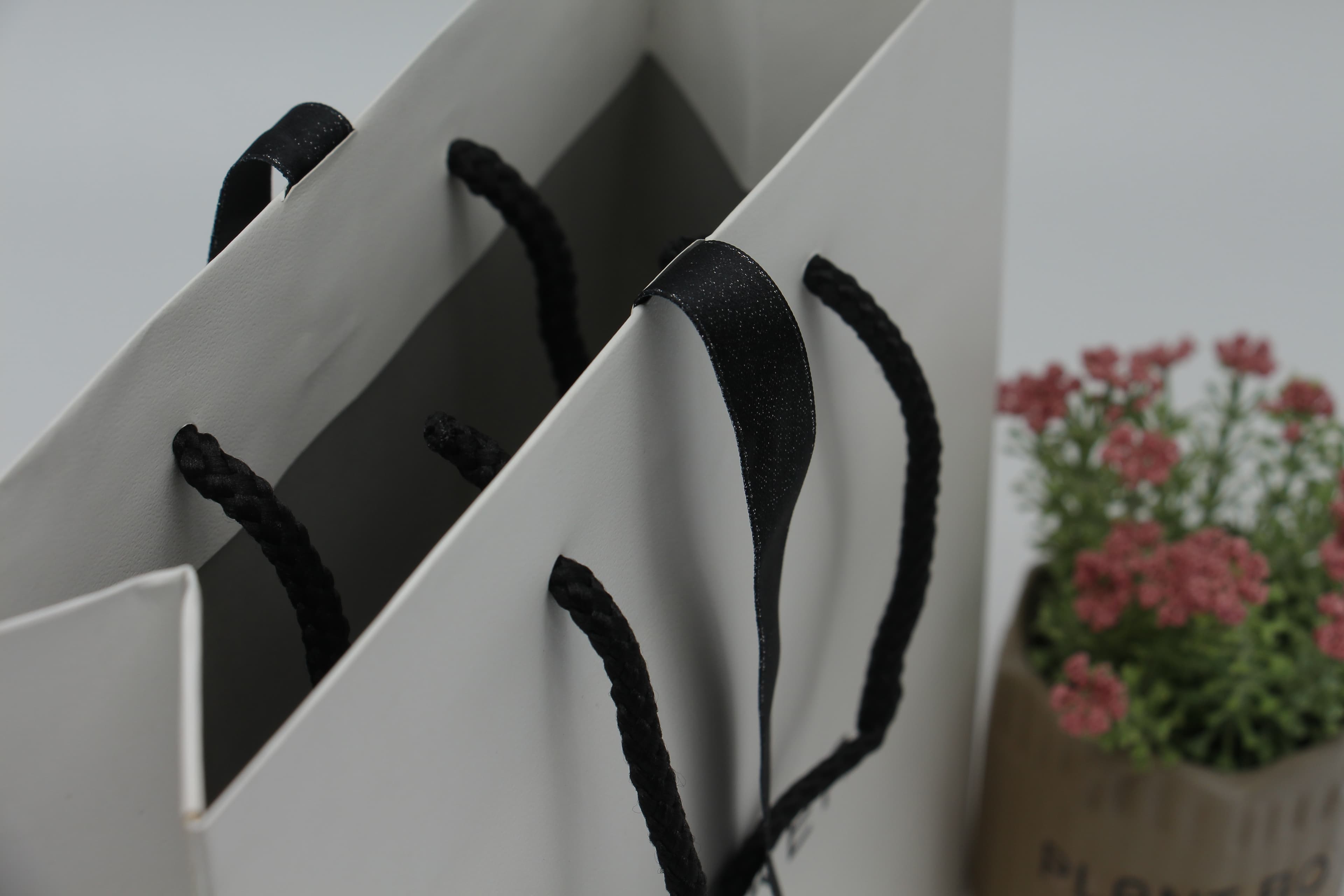 PBS shopping bag with twisted handle