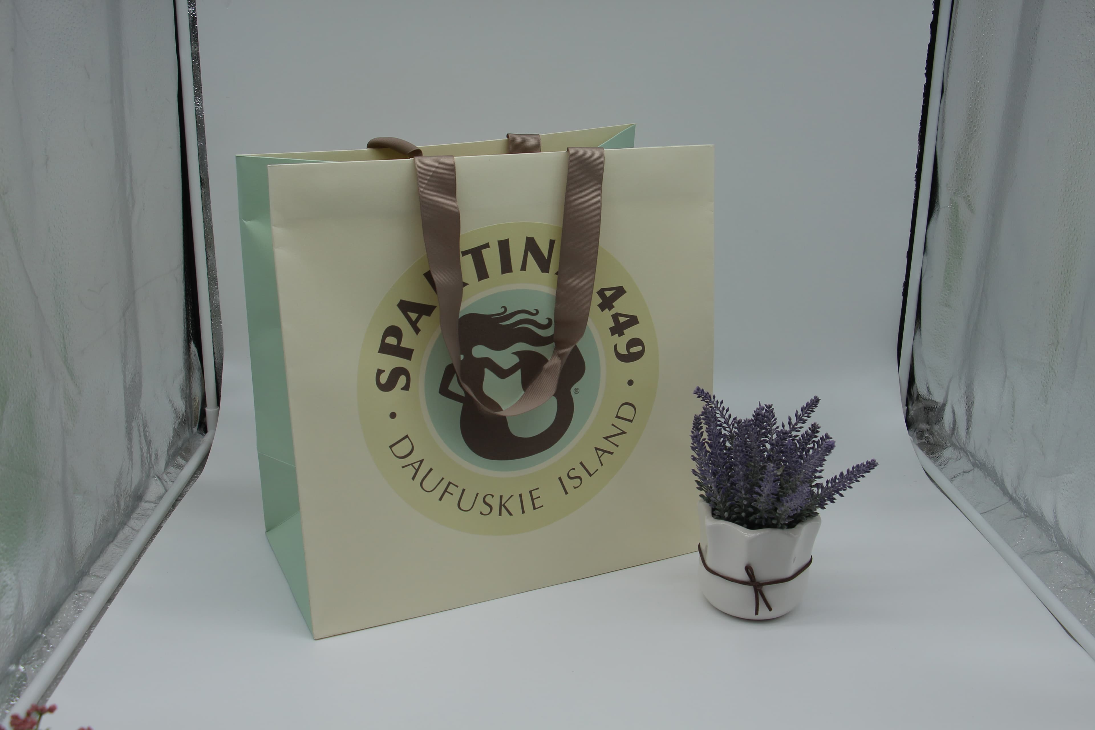 Wax-Lined Water-Resistant Paper Bag