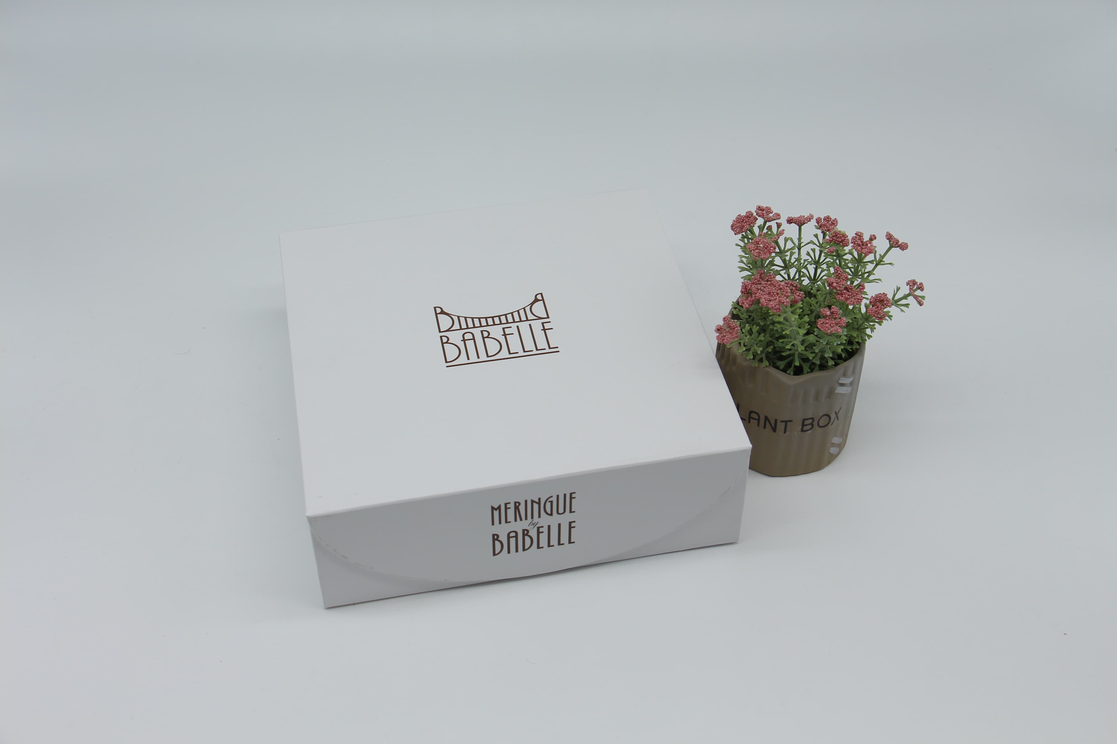 Tuck-End Folding Carton